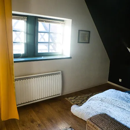 Apartment Traditionnel Au Centre Historique D'eguisheim