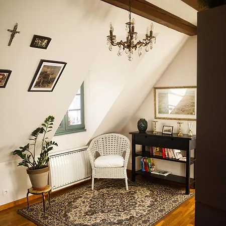 Appartamento Traditionnel Au Centre Historique D'éguisheim