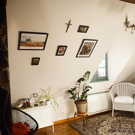 Traditionnel Au Centre Historique D'éguisheim Appartamento