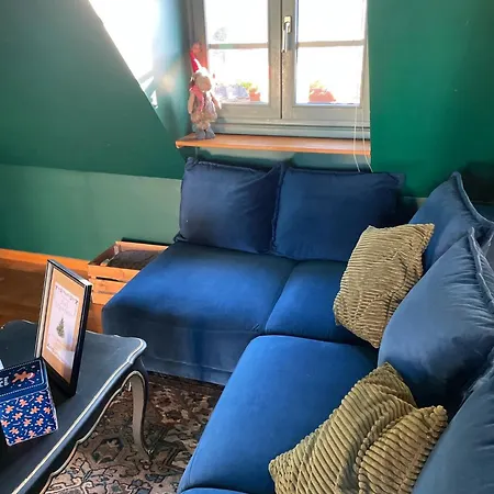 Traditionnel Au Centre Historique D'éguisheim Eguisheim