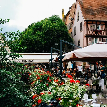 Traditionnel Au Centre Historique D'éguisheim Appartamento
