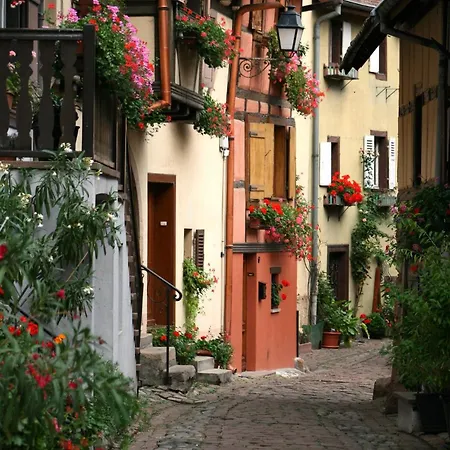Traditionnel Au Centre Historique D'eguisheim * Eguisheim